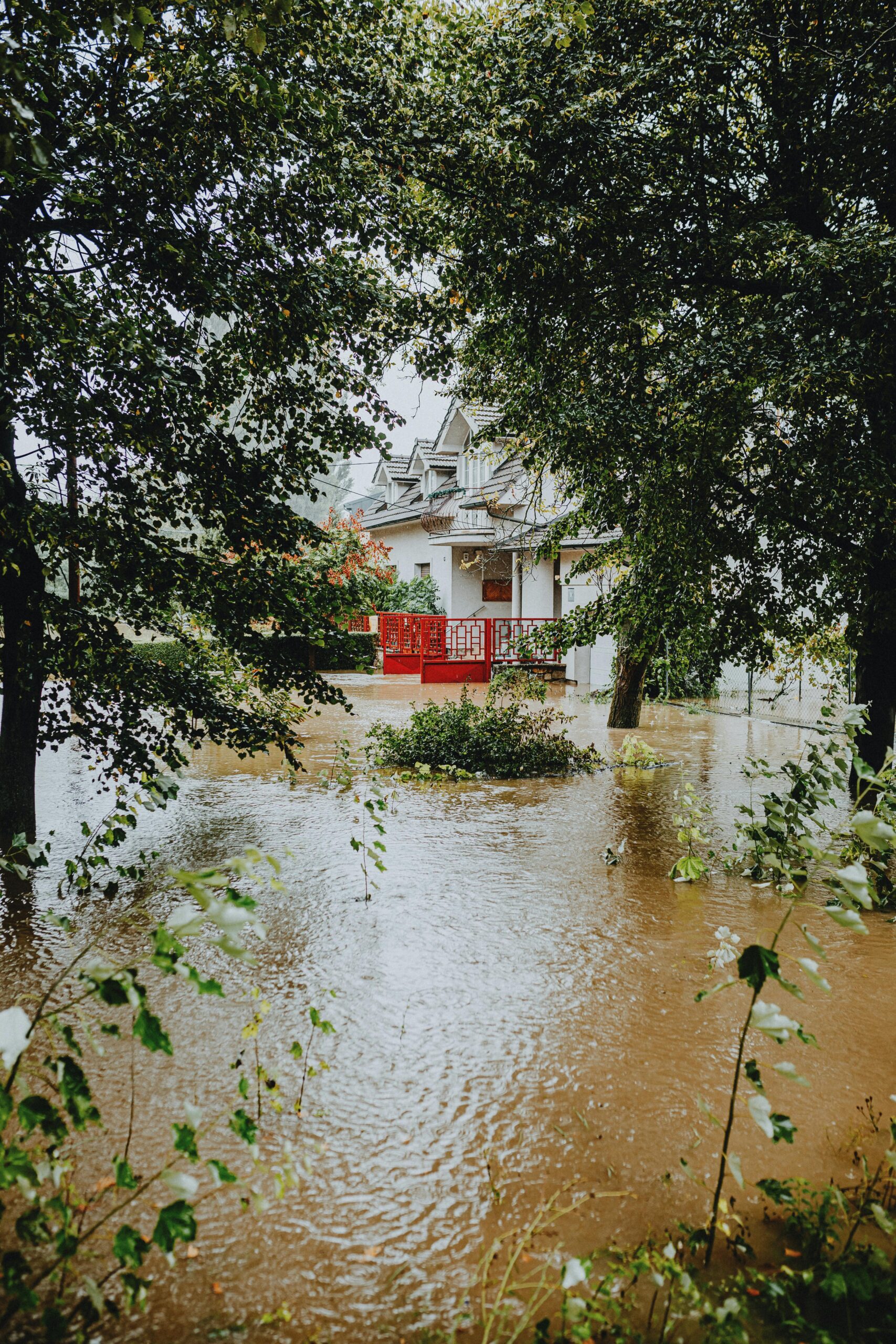 Water Damage Restoration