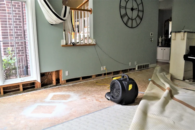 How Long Does It Take to Dry Out Water Damage