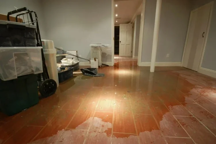 Water Damage Restoration